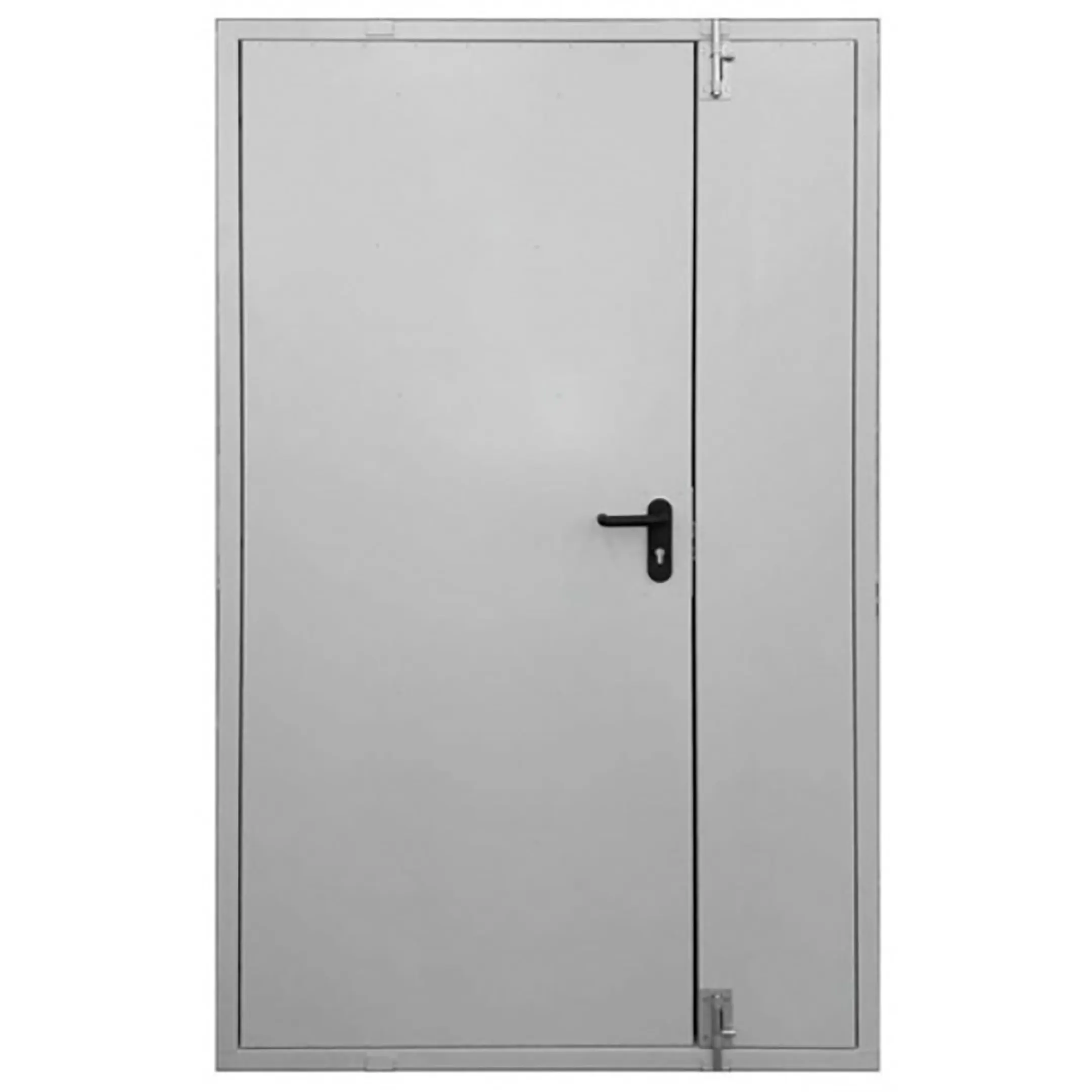 Дверь тамбурная металлическая ДТ-2-1500х2000